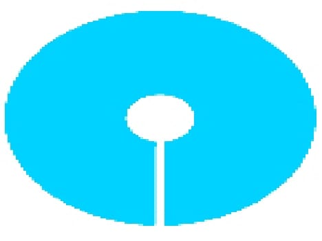 State Bank will recruit 50 insurance consultant in Bageshwar